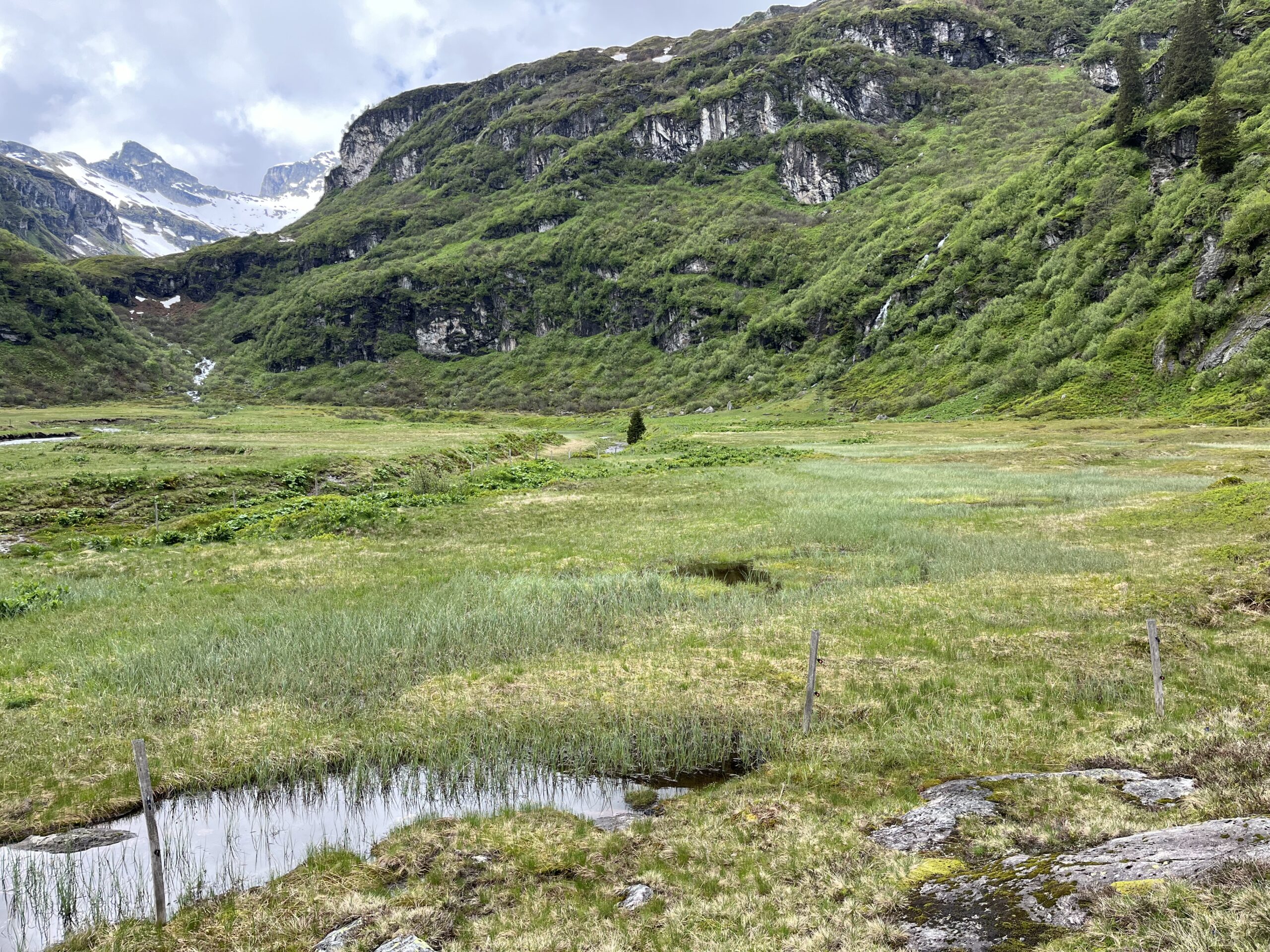 Moorregeneration Matt/Garichti, GL