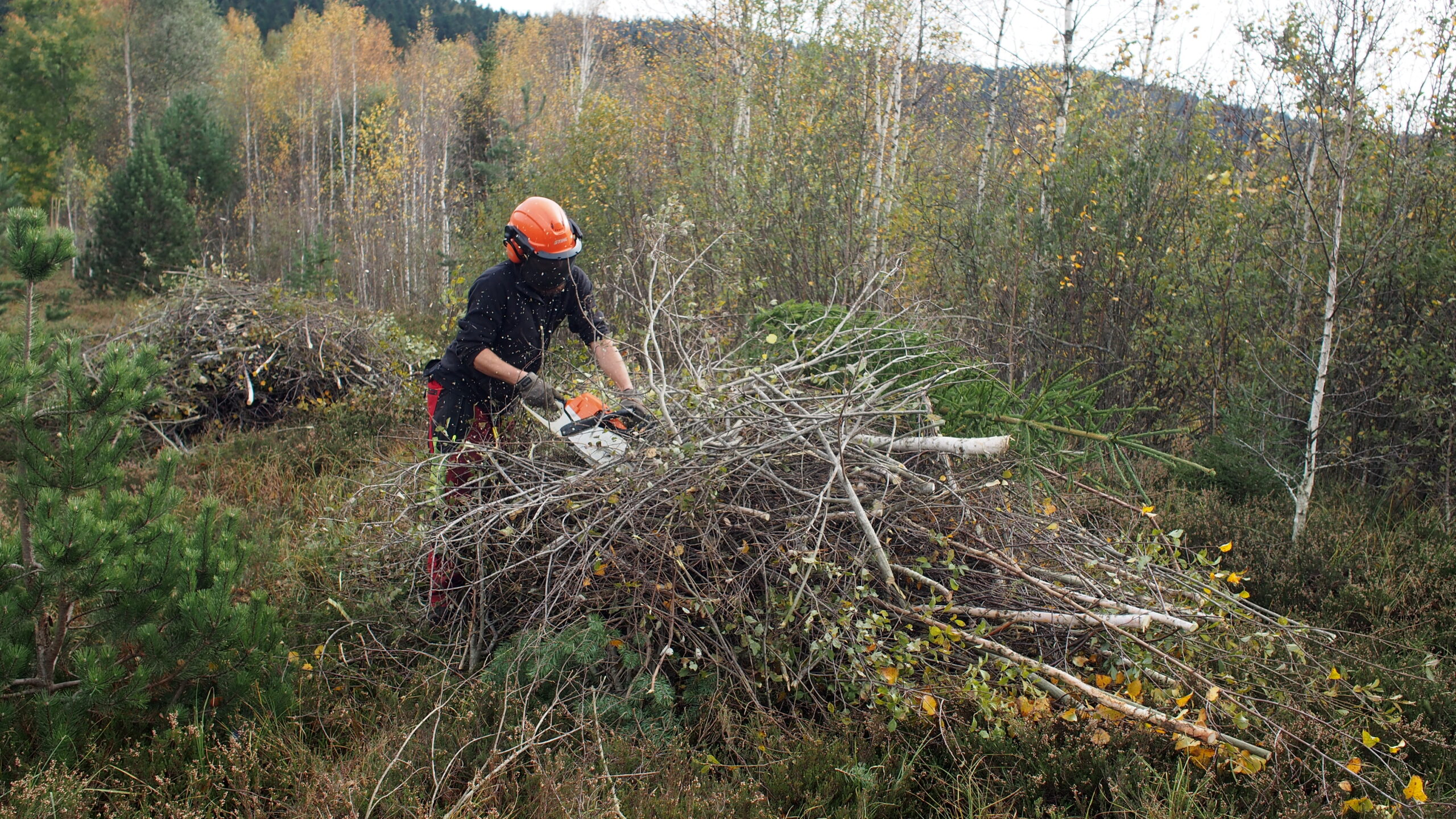Entretien de biotopes à la carte