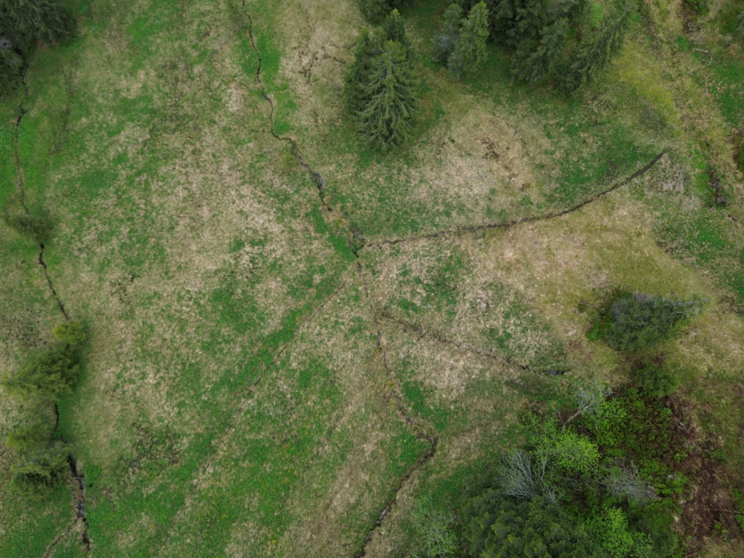 Flachmoore im Kanton Bern: Entwicklung Vorgehen bei Grabenschliessung