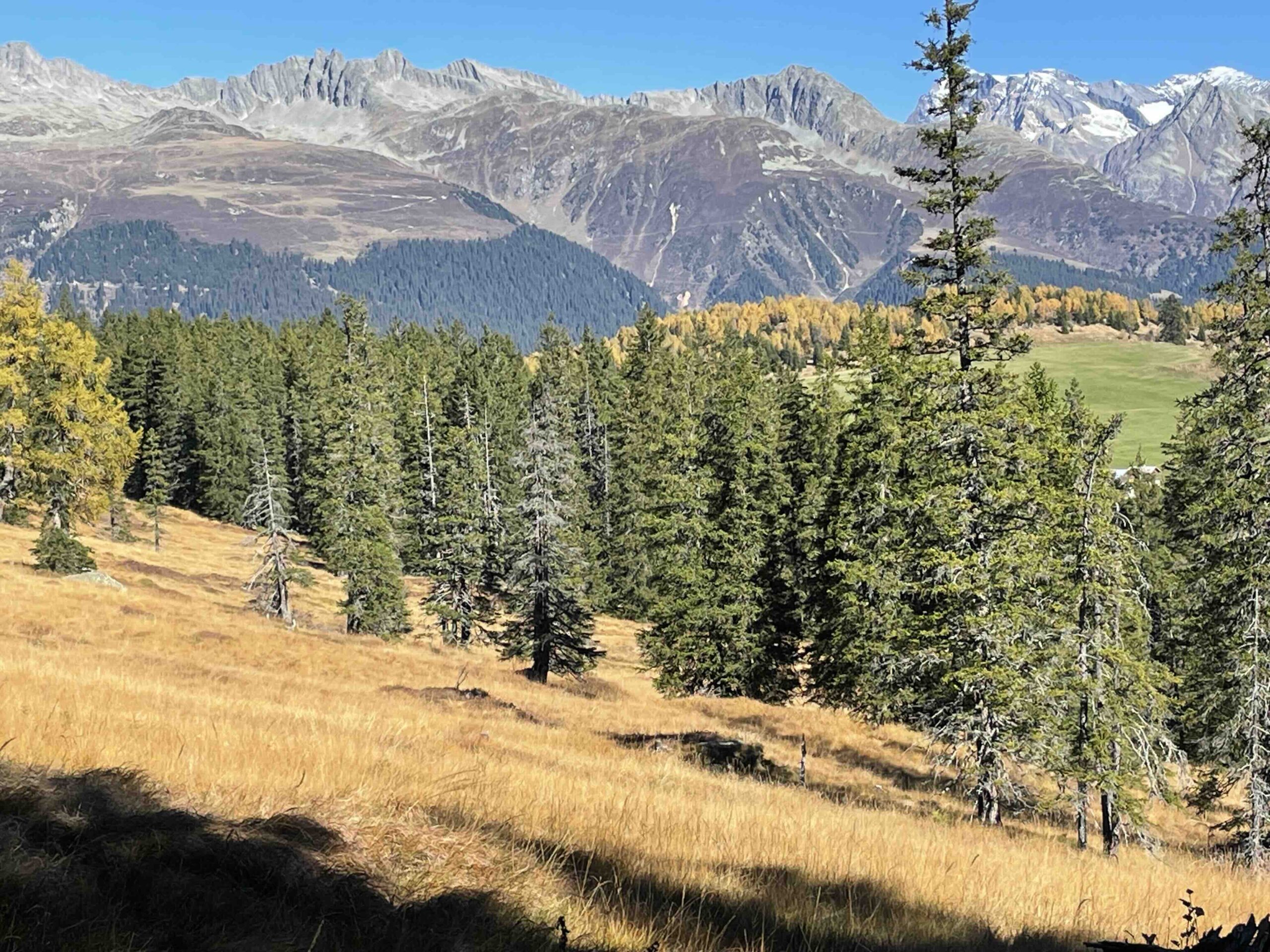 … jusqu&rsquo;à humide.